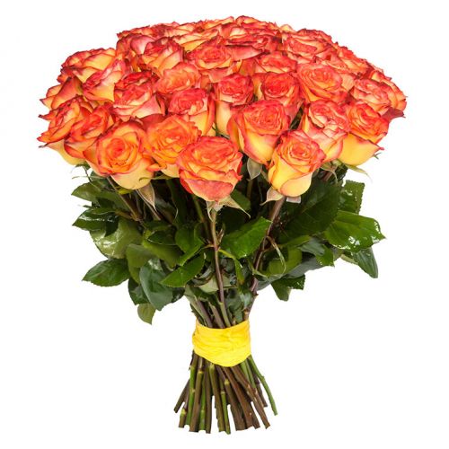 Купить 41-ну оранжевую розу с доставкой по Архангельску